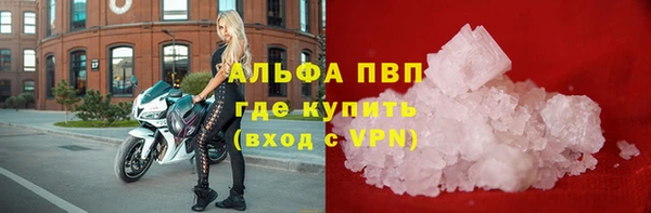 СК Нягань