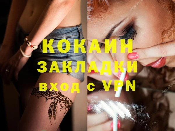 спиды Няндома